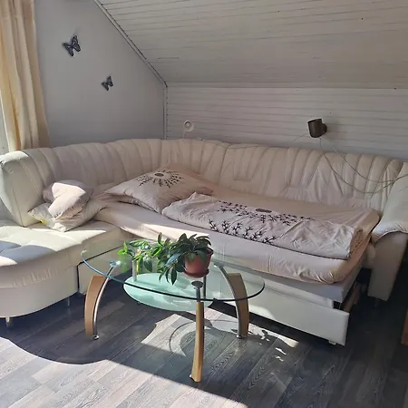 度假居 David Linea House