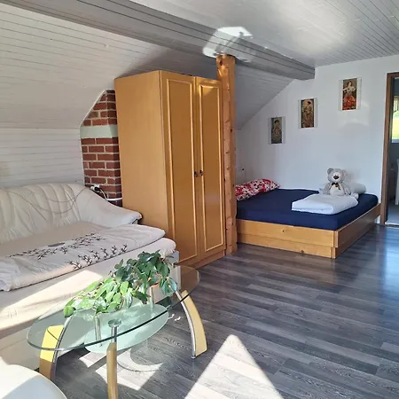 David Linea House 度假居 Volavlje